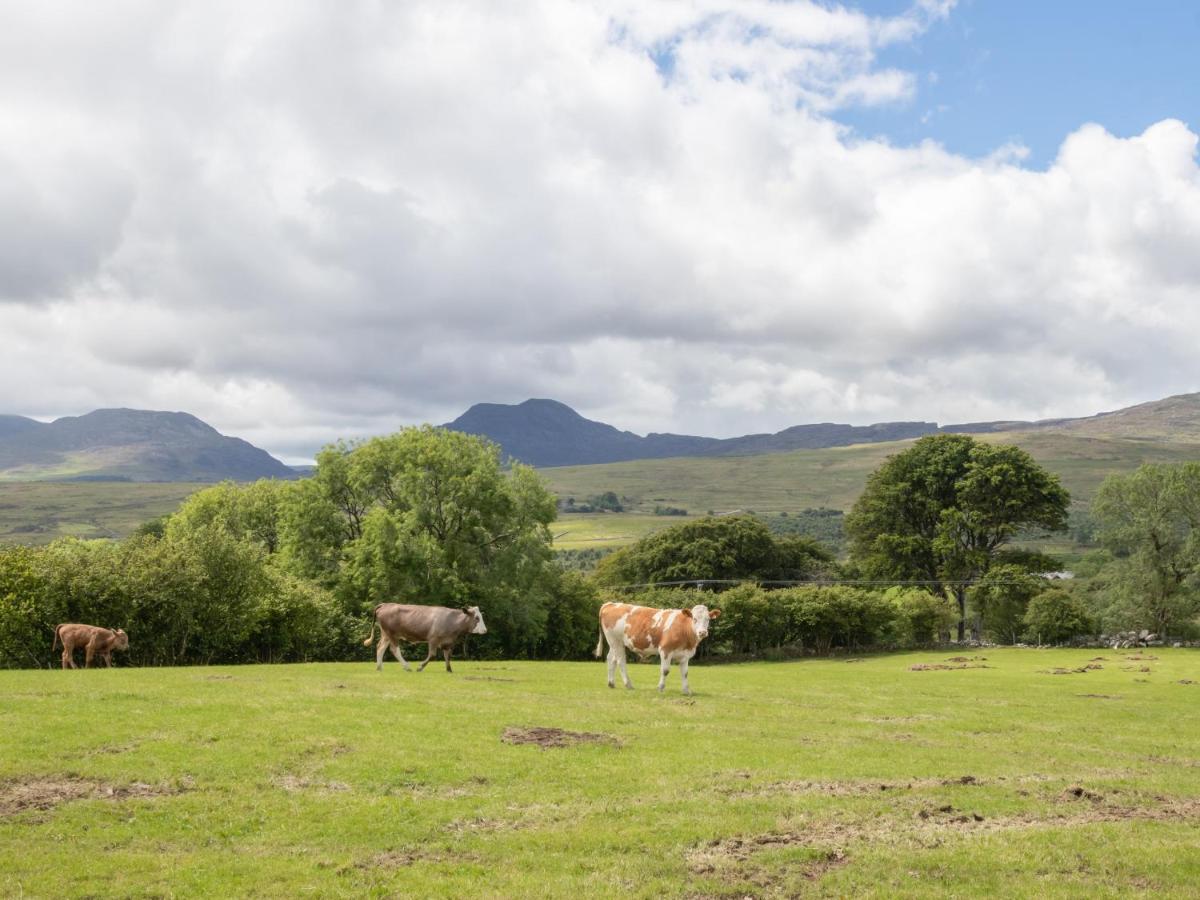 Hendre Cottage Trawsfynydd Zewnętrze zdjęcie